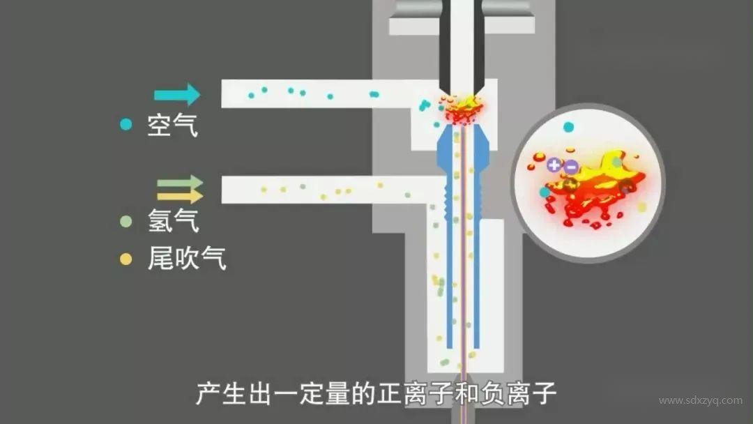 1713843477139176.jpg 3.jpg